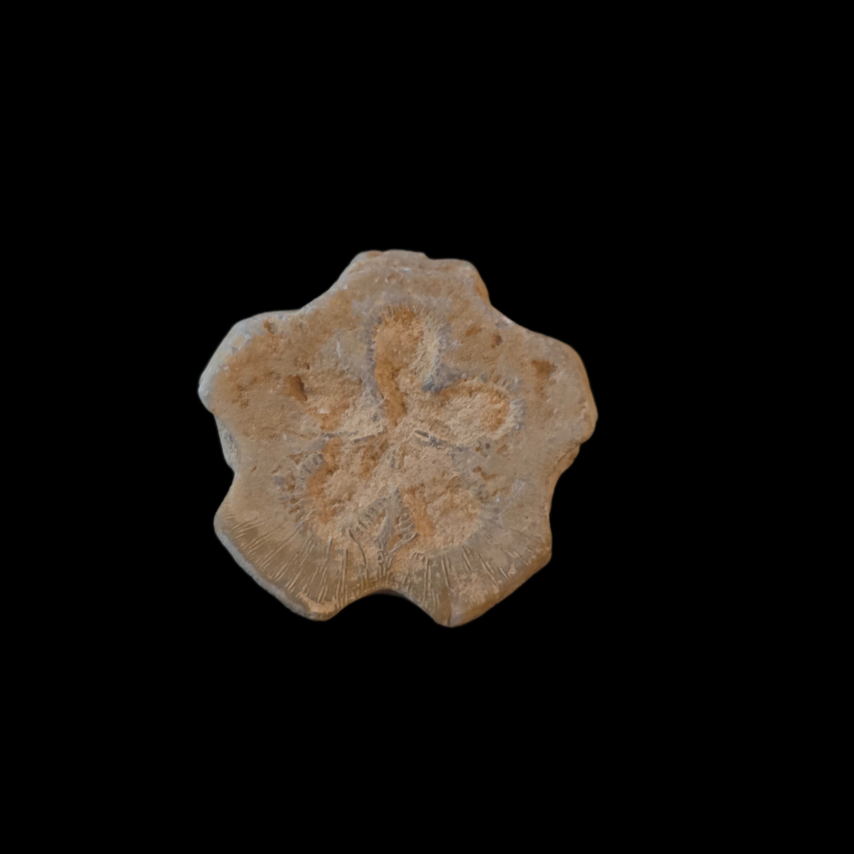 Steatite floral inlay disc
