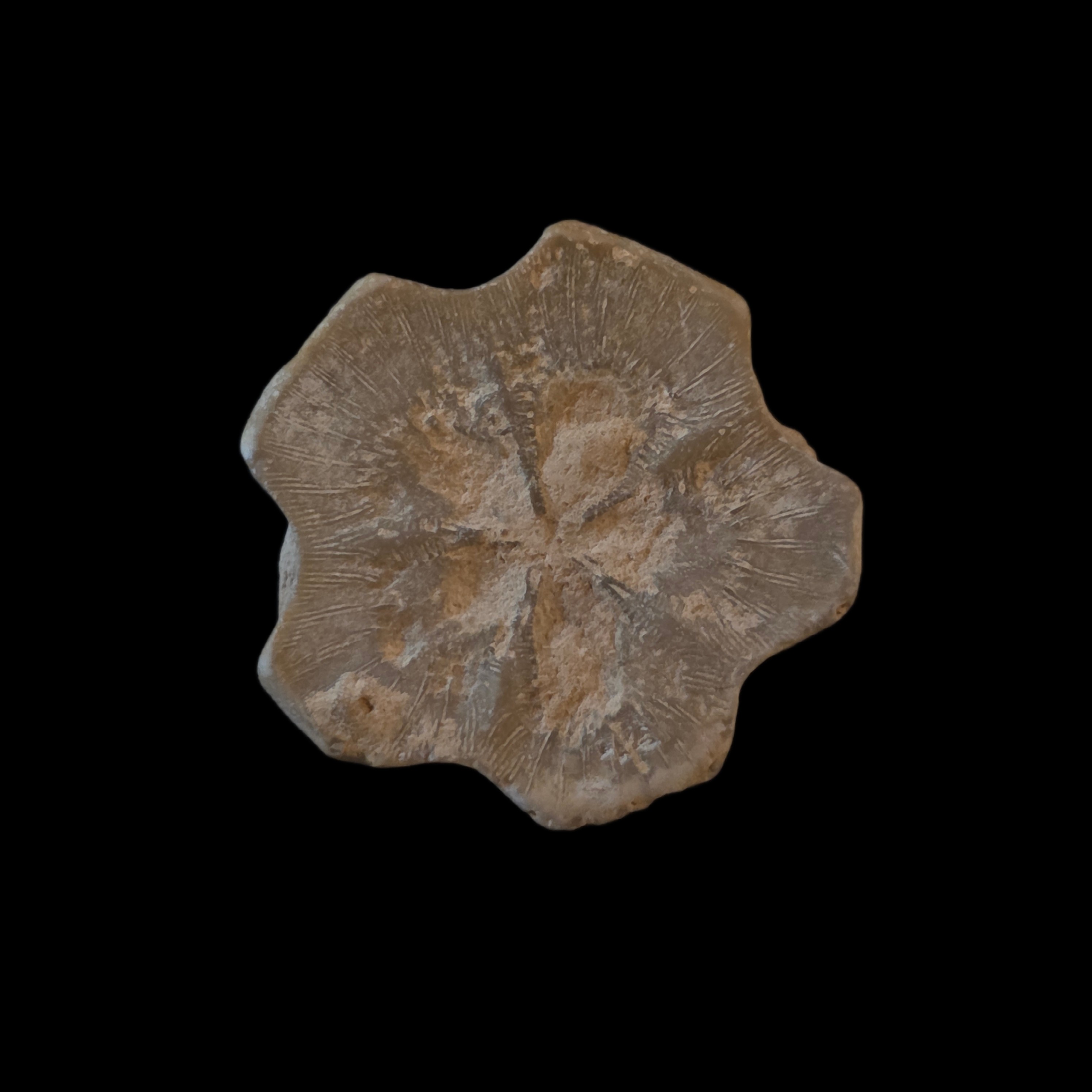Detail / angled view