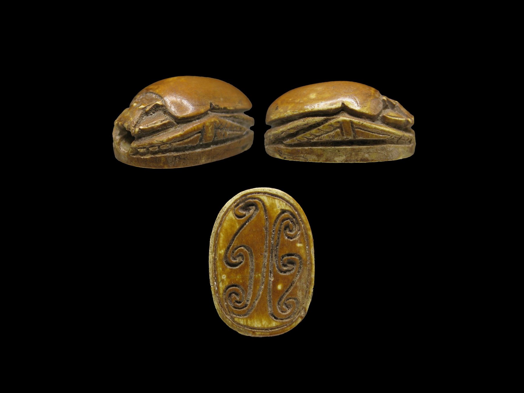 Steatite scarab with spiral design