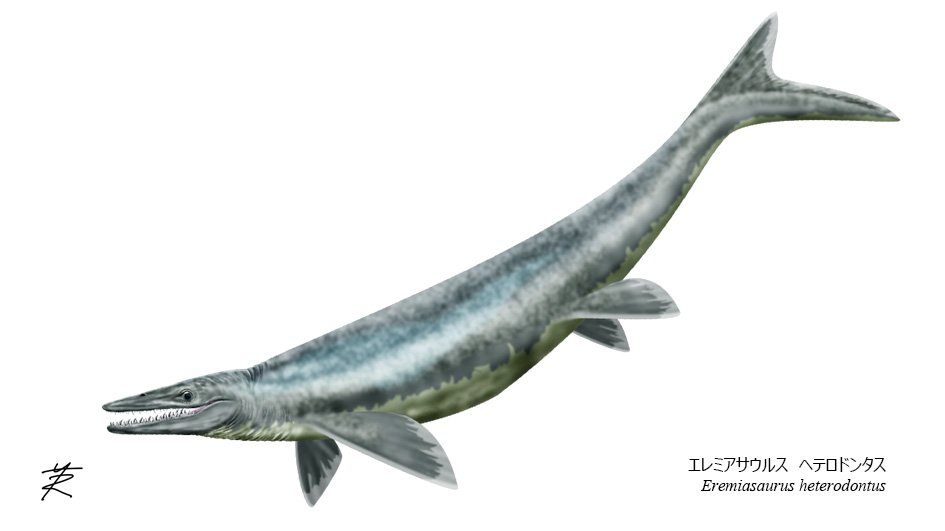 Eremiasaurus heterodontus life reconstruction