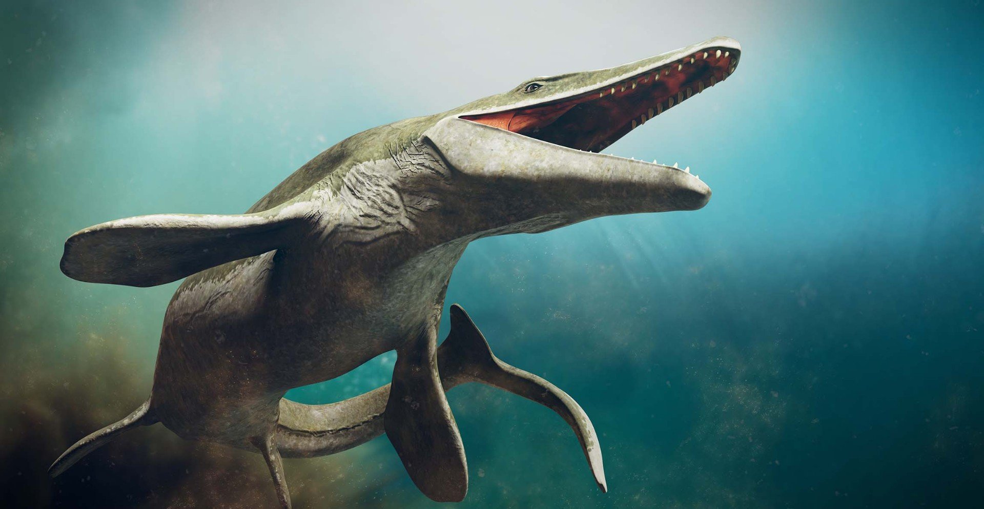 Mosasaurid life reconstruction