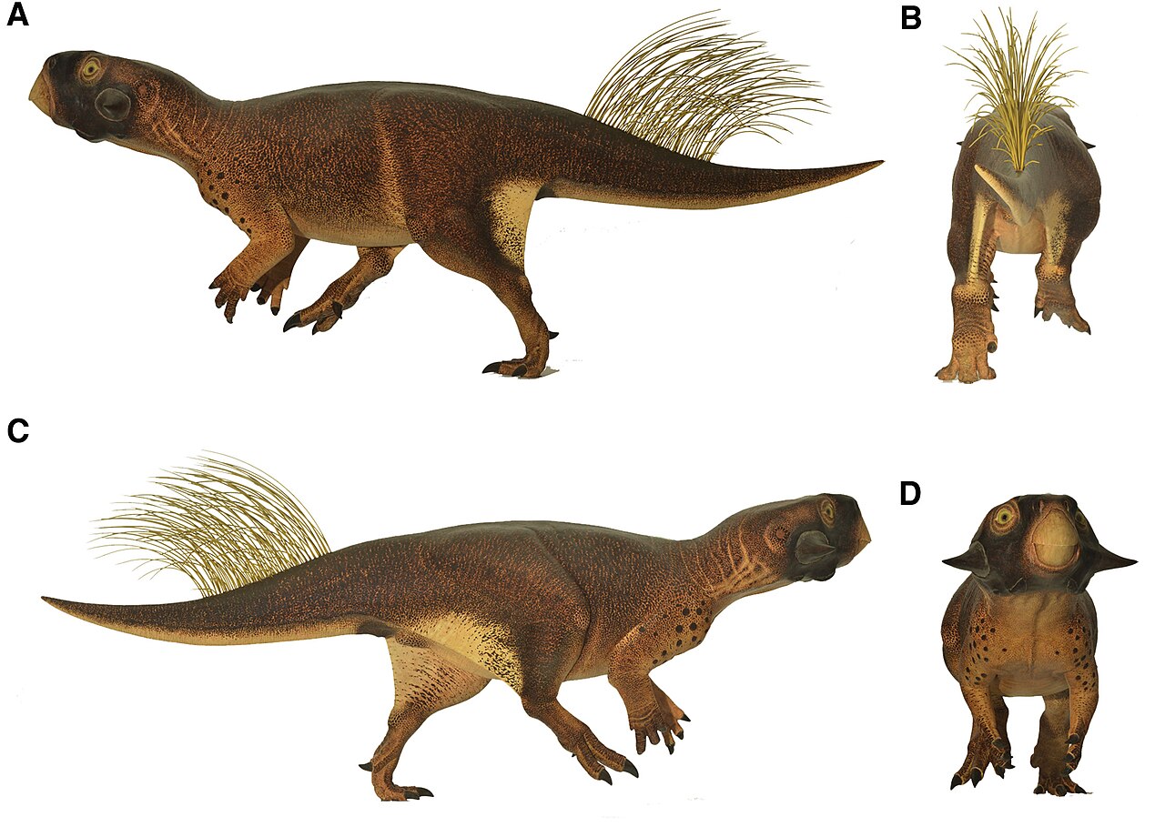 Psittacosaurus life reconstruction — scientific illustration