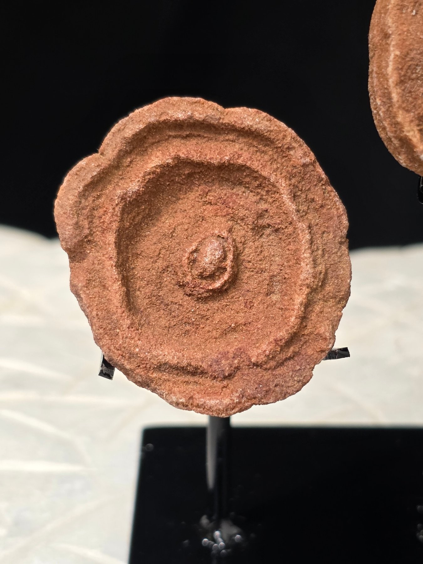 Specimen A — close detail