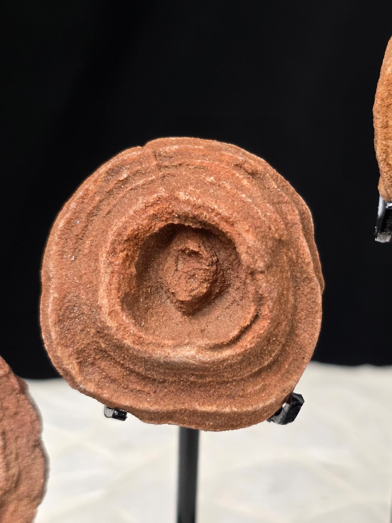 Specimen B — close detail
