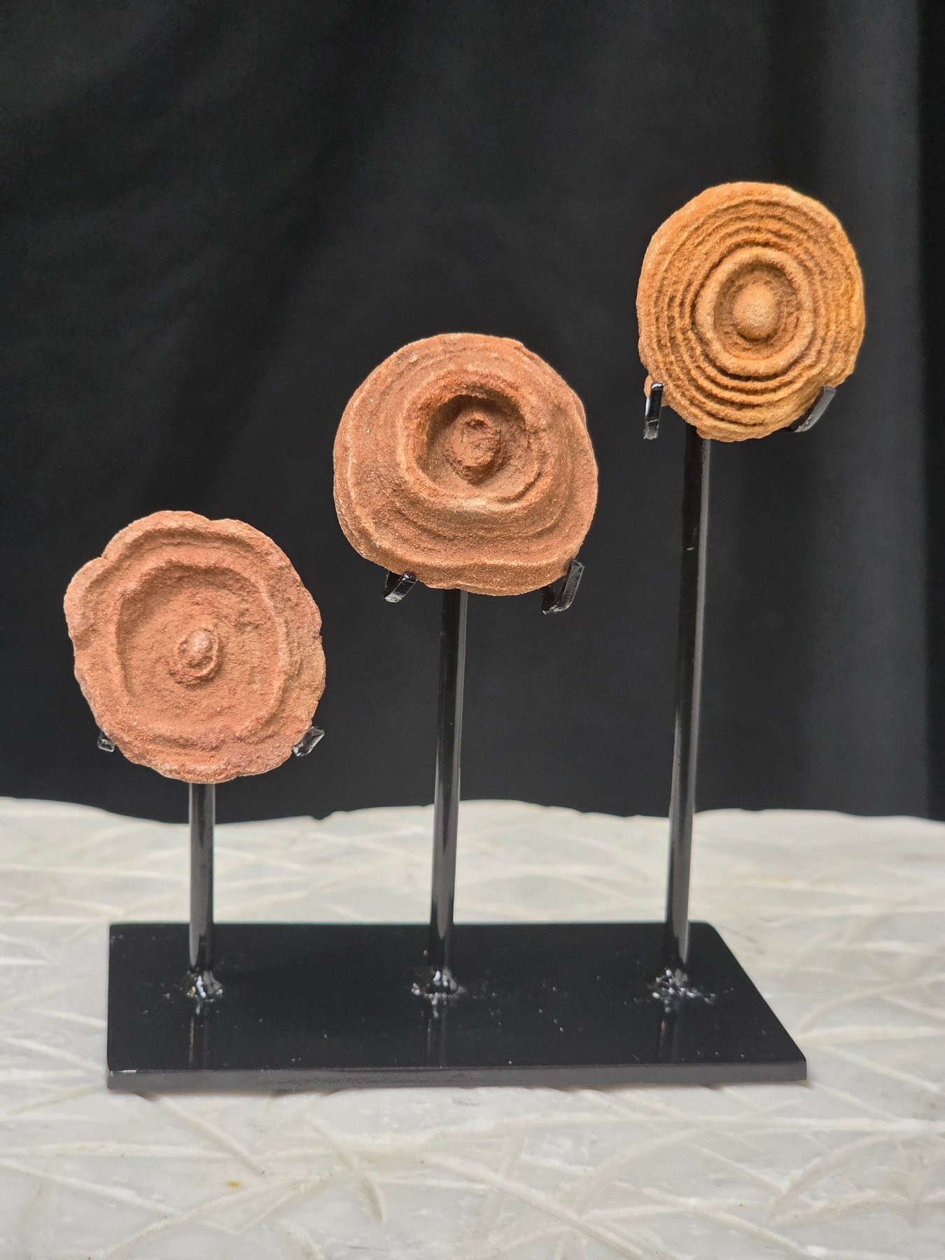 Three specimens, light background A