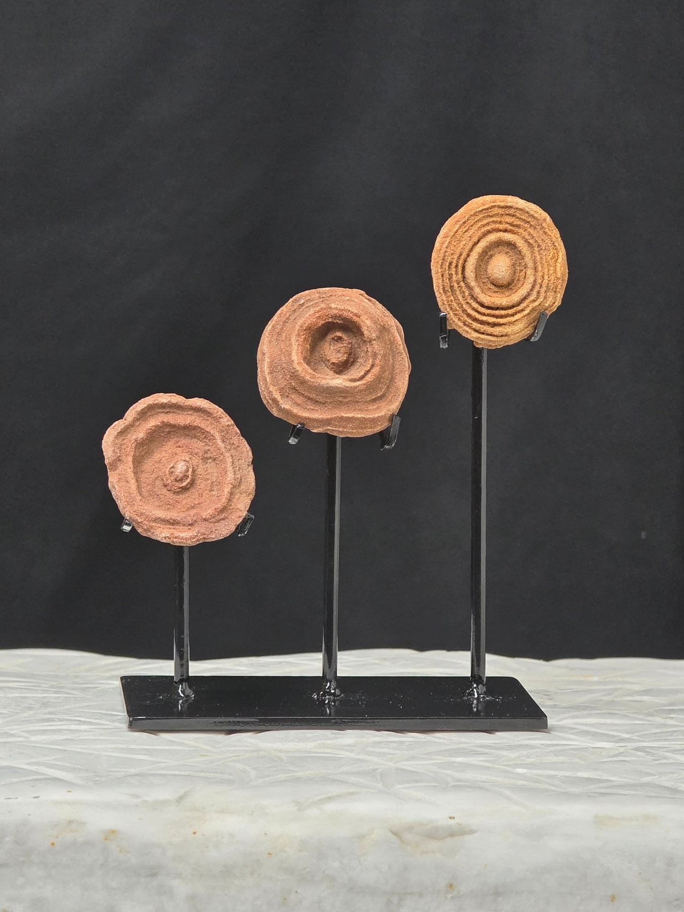 Three specimens, light background B