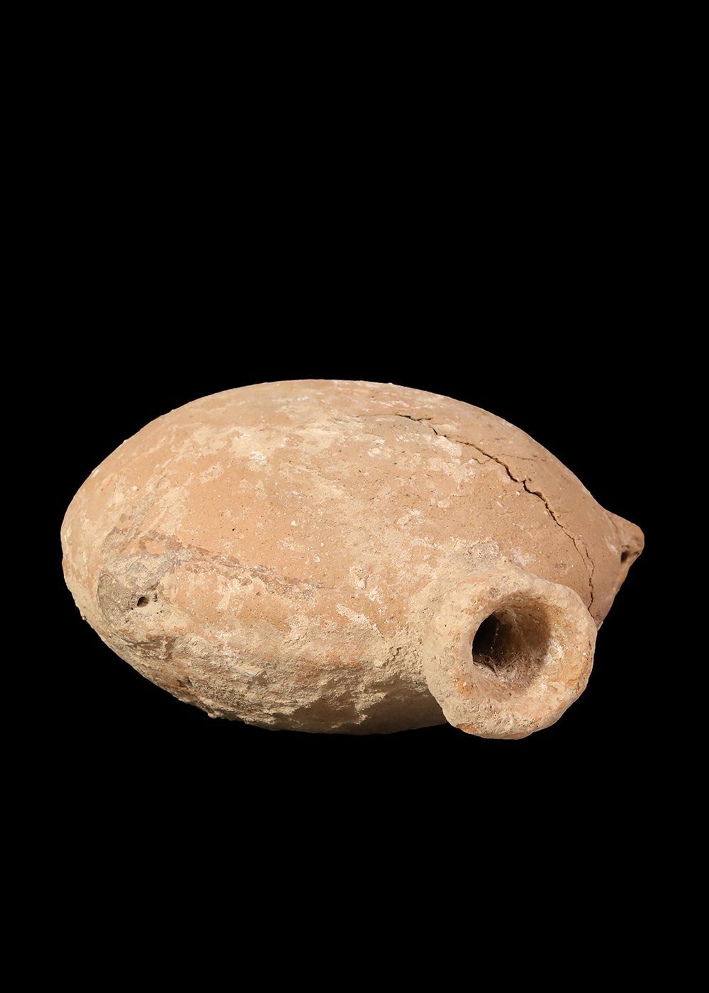Profile — lentoid body